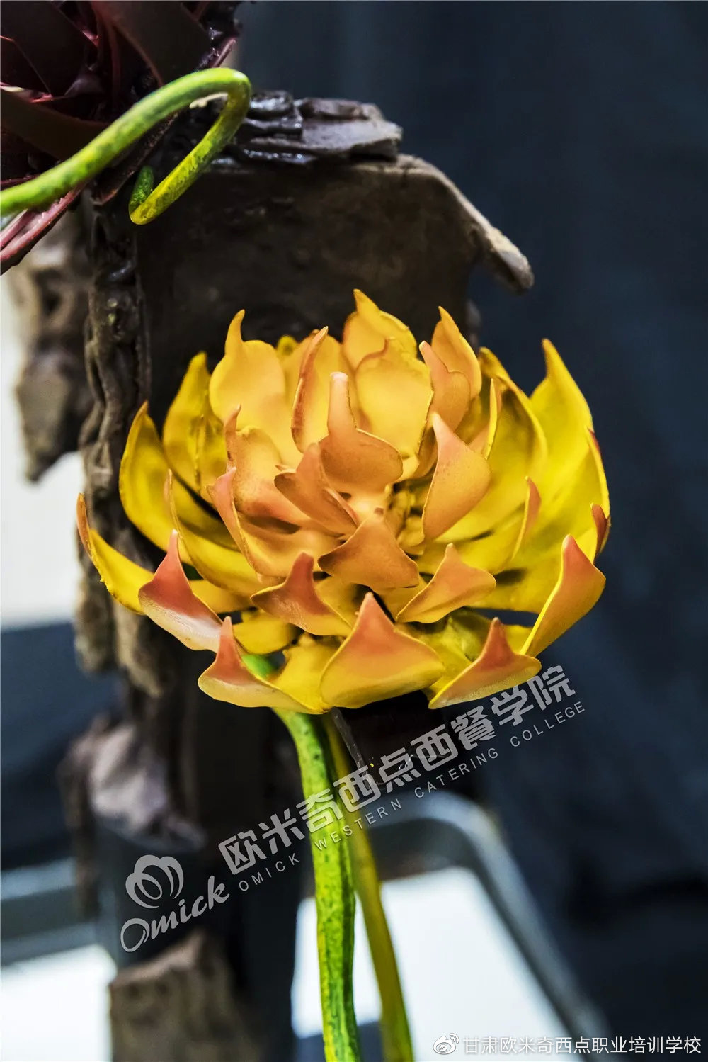 ↑图:艺术插件-巧克力